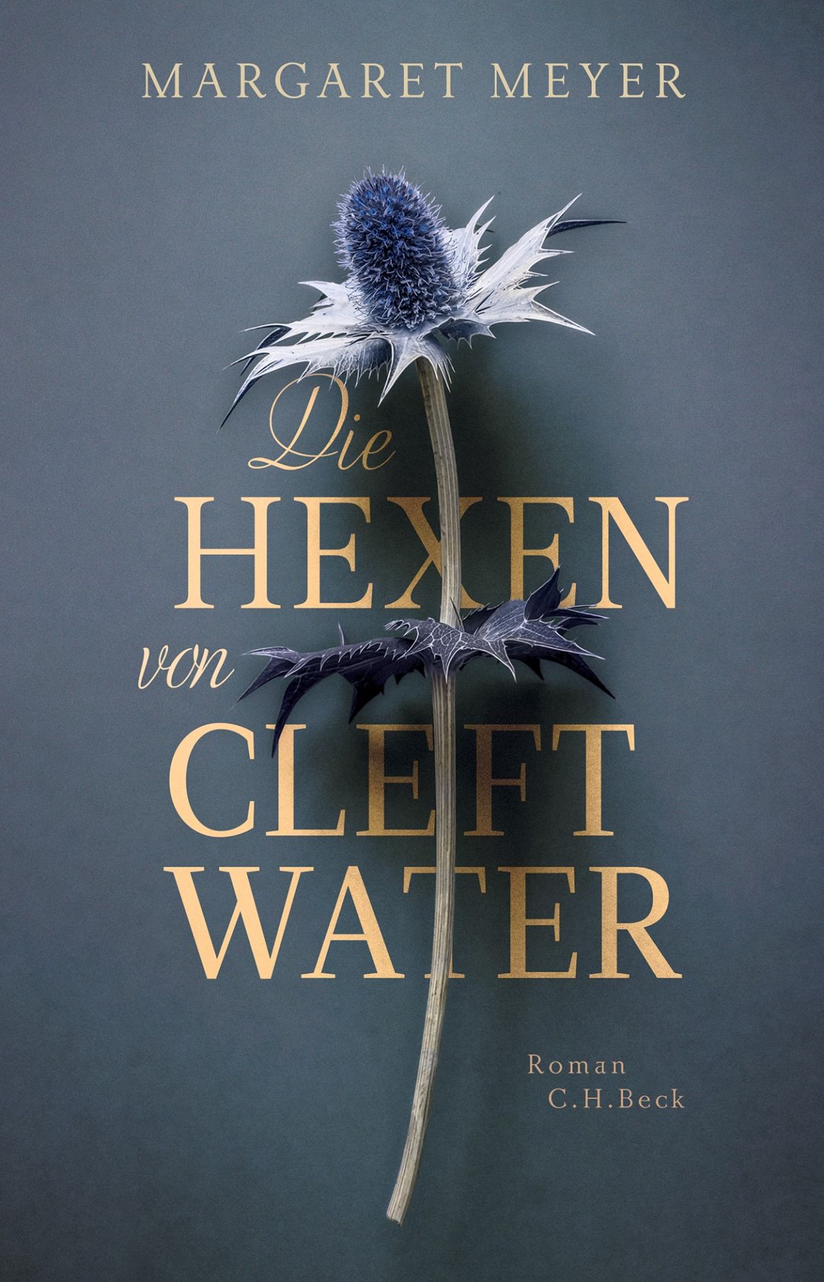 Margaret Meyer - Die Hexen von Cleftwater